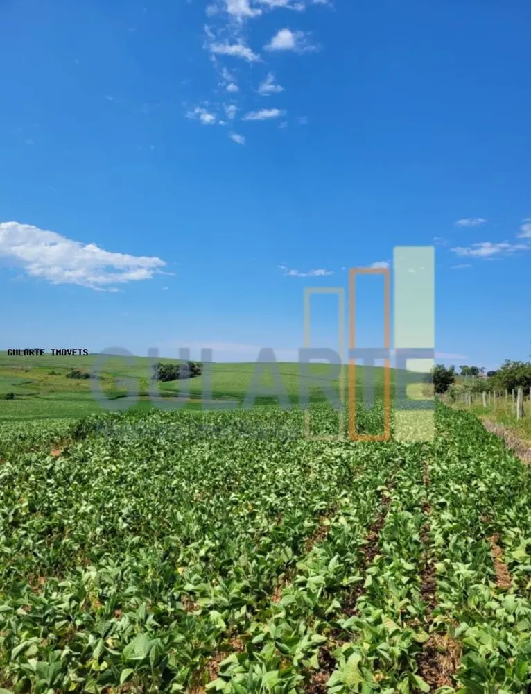 Fazenda, 252 hectares - Foto 1