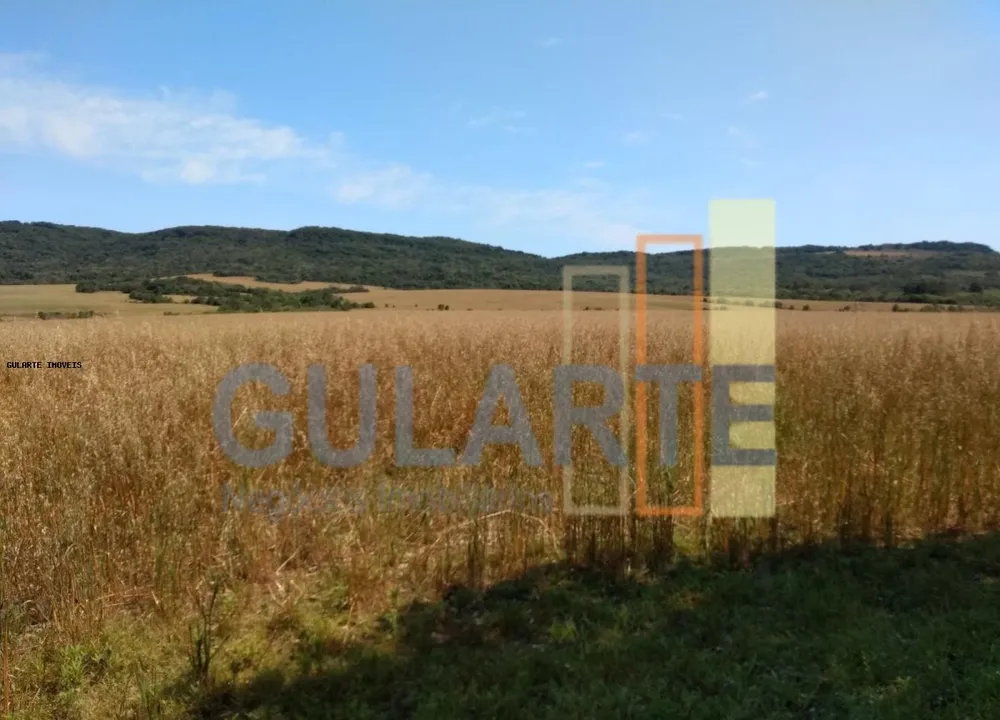 Fazenda, 252 hectares - Foto 4