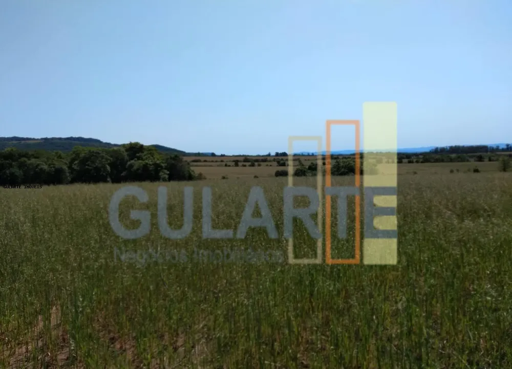 Fazenda, 252 hectares - Foto 8