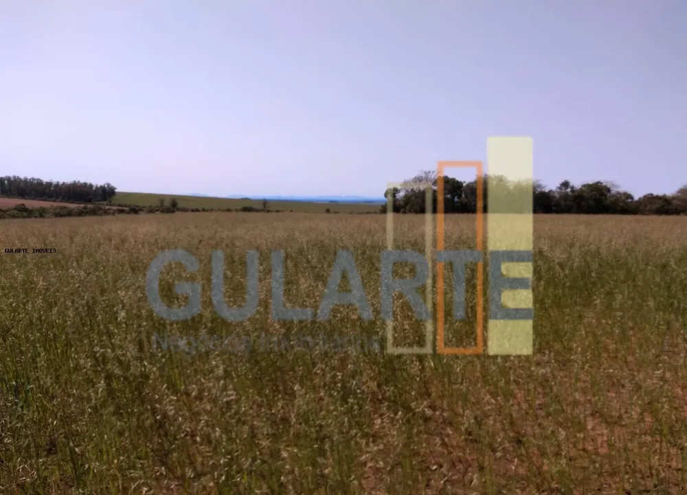 Fazenda, 252 hectares - Foto 6