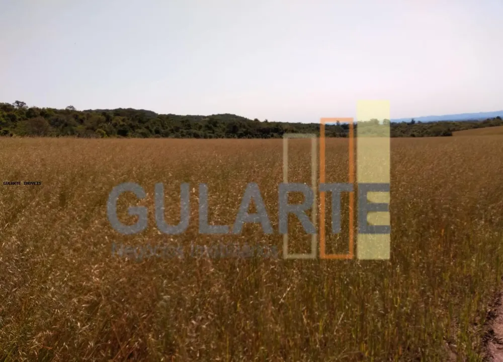 Fazenda, 252 hectares - Foto 7
