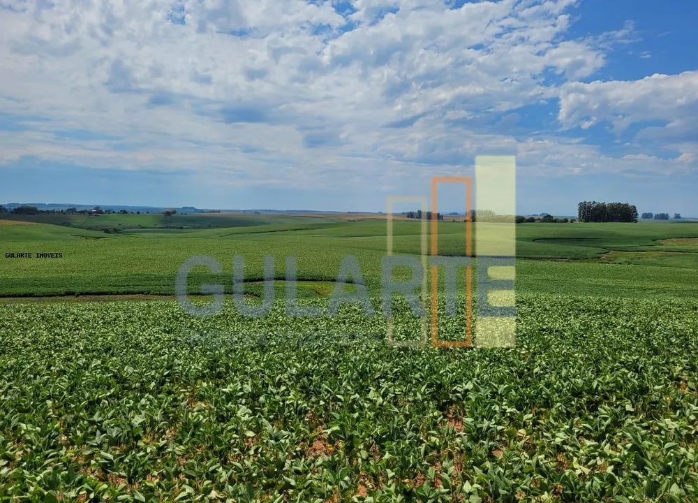 Fazenda, 252 hectares - Foto 2