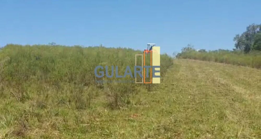 Fazenda, 92 hectares - Foto 9