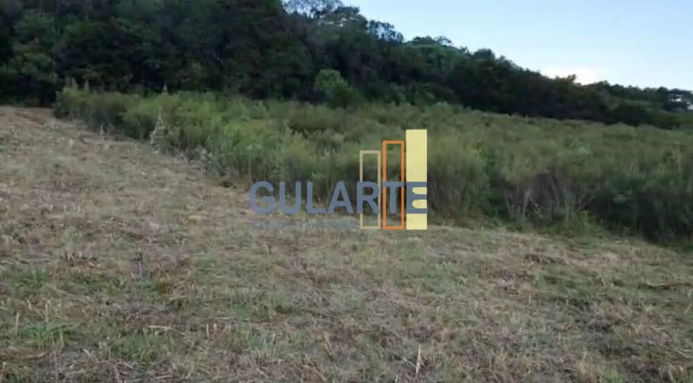 Fazenda, 92 hectares - Foto 11