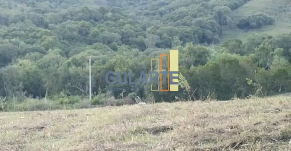 Fazenda, 92 hectares - Foto 2