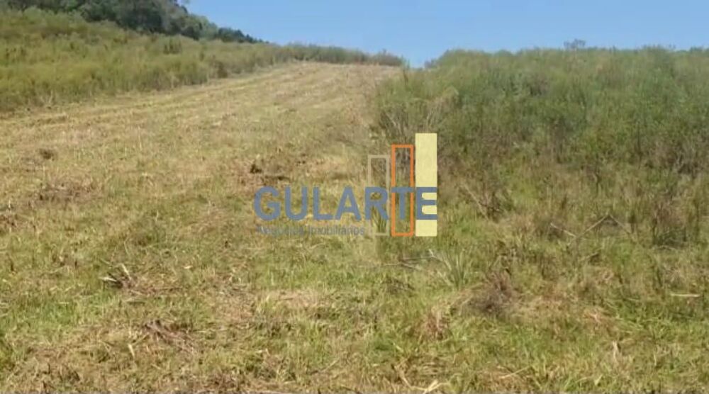 Fazenda, 92 hectares - Foto 6