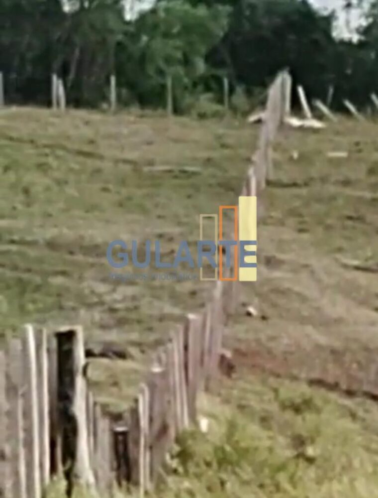 Fazenda, 92 hectares - Foto 4