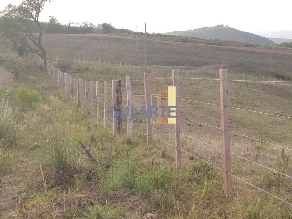 Fazenda, 92 hectares - Foto 8