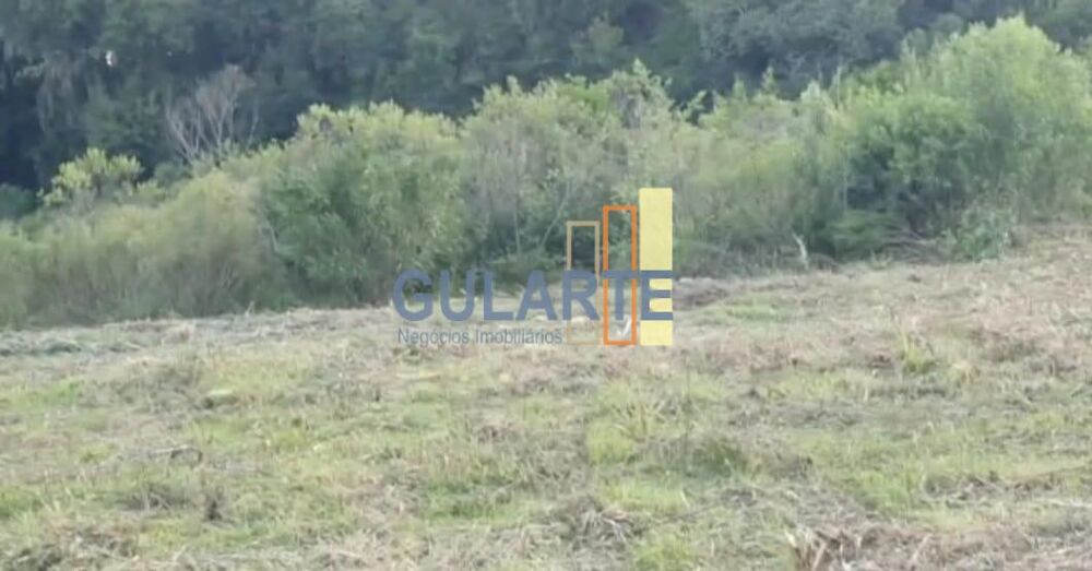 Fazenda, 92 hectares - Foto 7