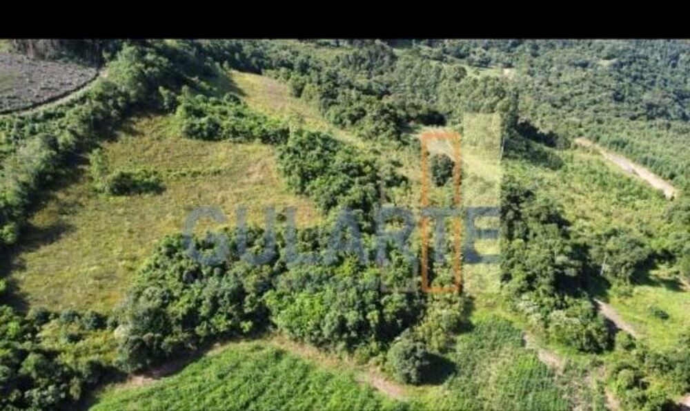 Fazenda, 72 hectares - Foto 1