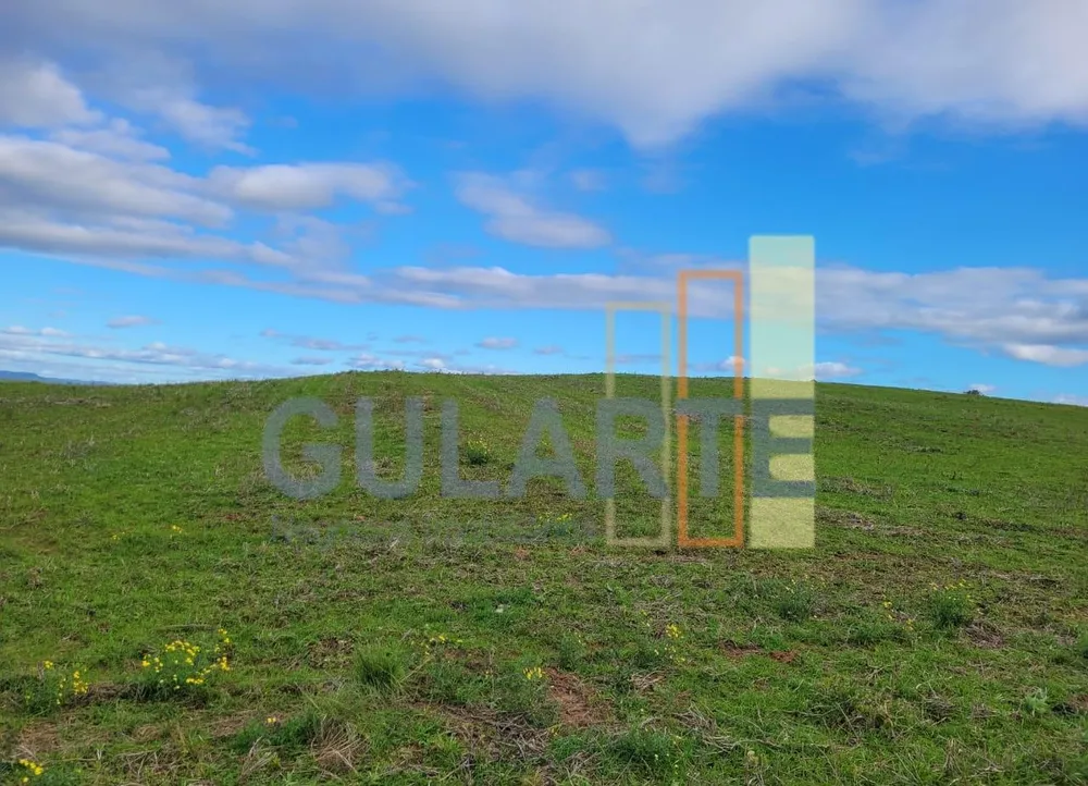 Fazenda, 120 hectares - Foto 4