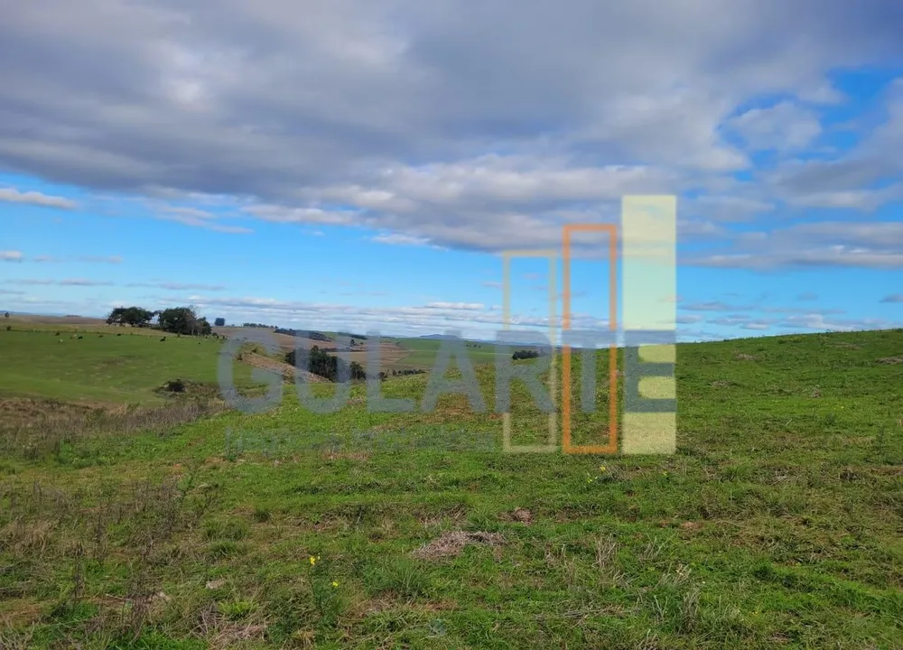 Fazenda, 120 hectares - Foto 2