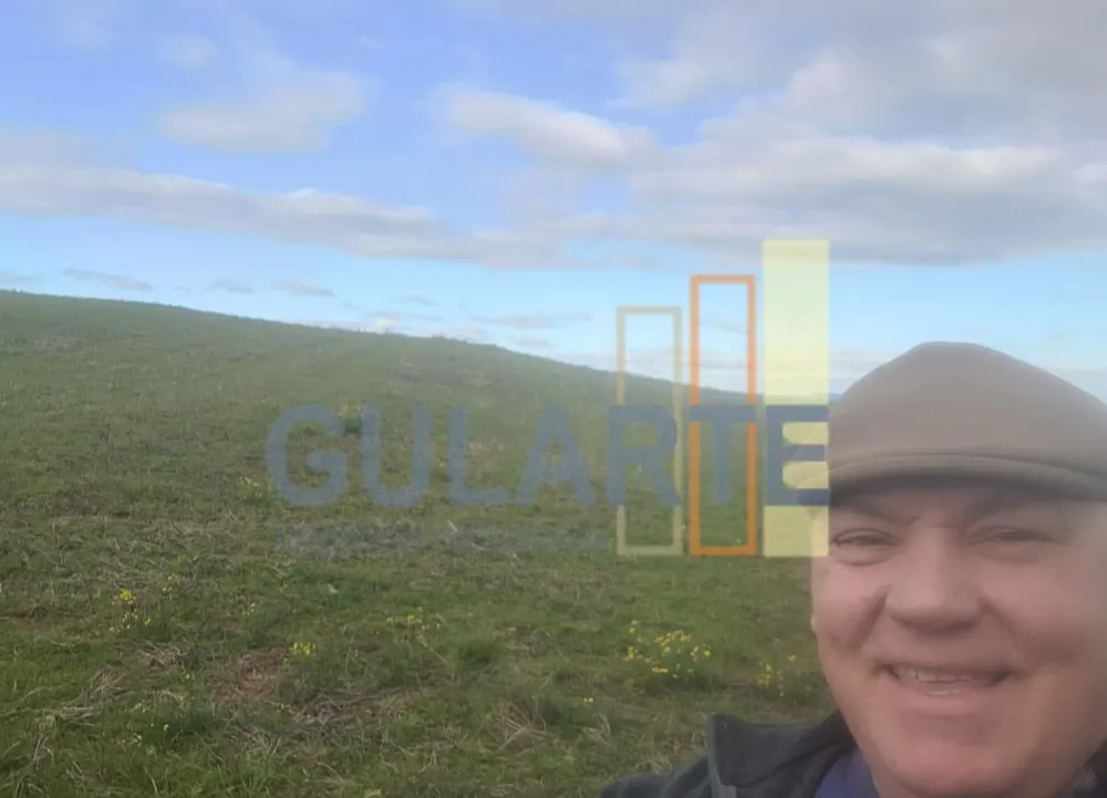 Fazenda, 120 hectares - Foto 8