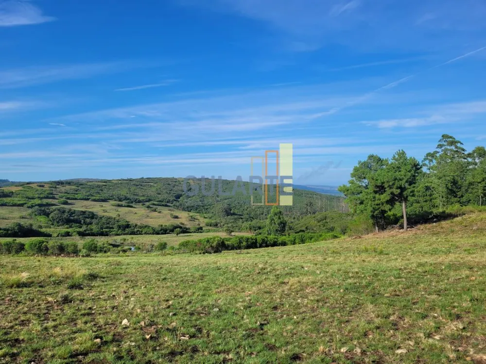 Fazenda, 135 hectares - Foto 1