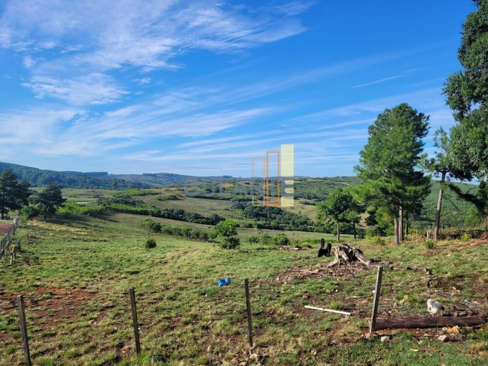 Fazenda, 135 hectares - Foto 8