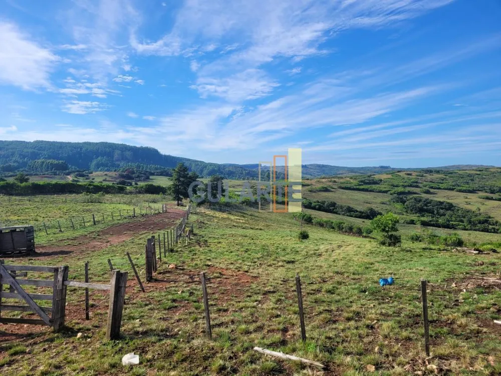 Fazenda, 135 hectares - Foto 2