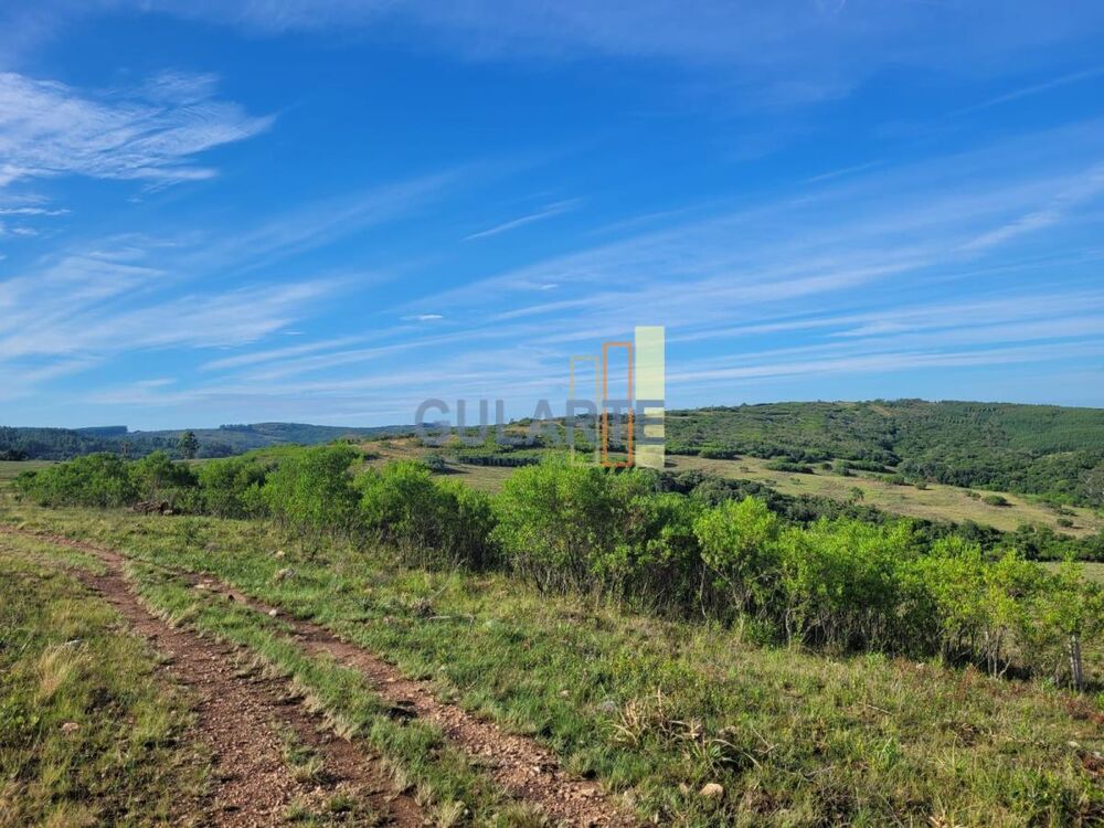 Fazenda, 135 hectares - Foto 5