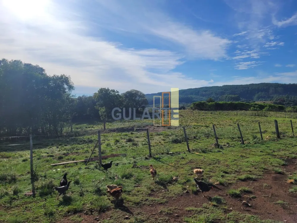 Fazenda, 135 hectares - Foto 11