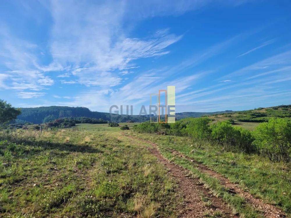 Fazenda, 135 hectares - Foto 8