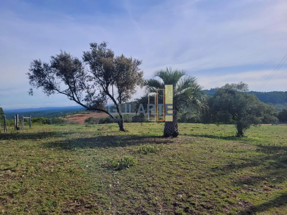 Fazenda, 135 hectares - Foto 7