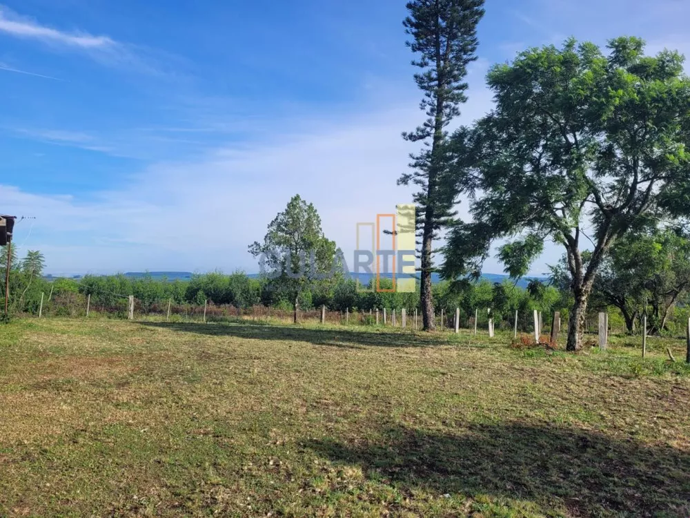 Fazenda, 135 hectares - Foto 1