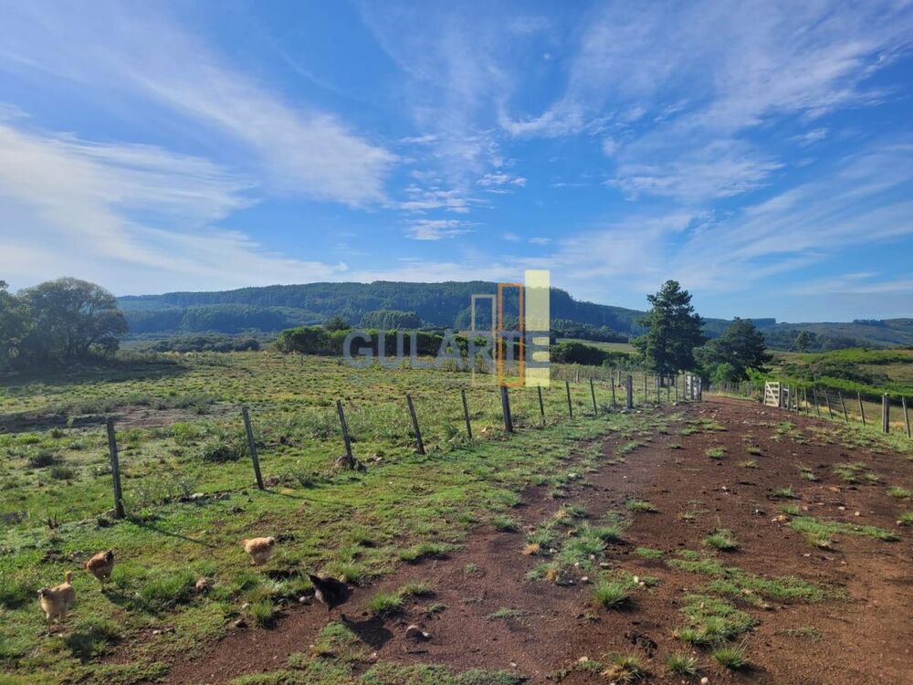 Fazenda, 135 hectares - Foto 2