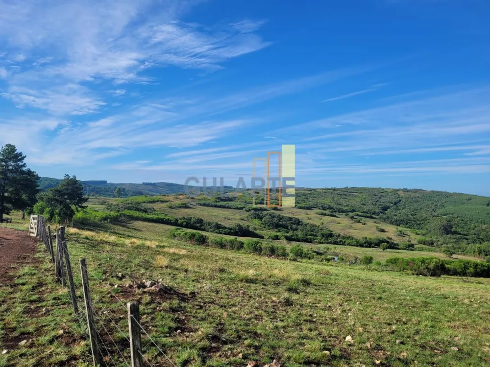 Fazenda, 135 hectares - Foto 9