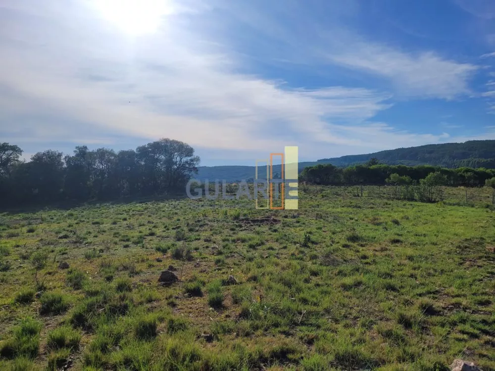 Fazenda, 135 hectares - Foto 3