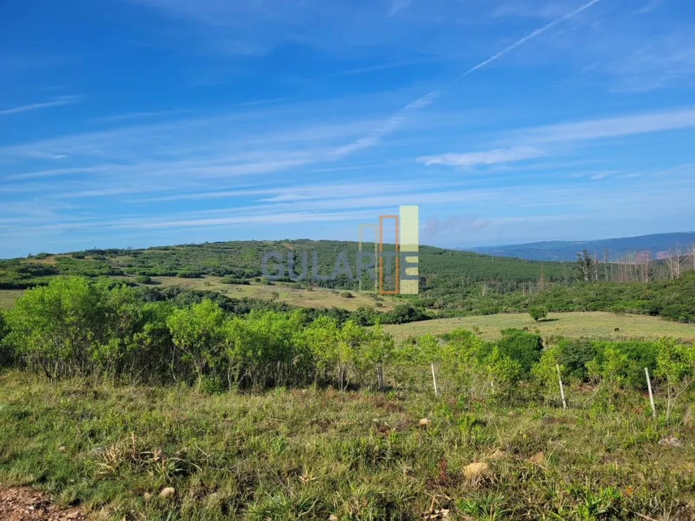 Fazenda, 135 hectares - Foto 12