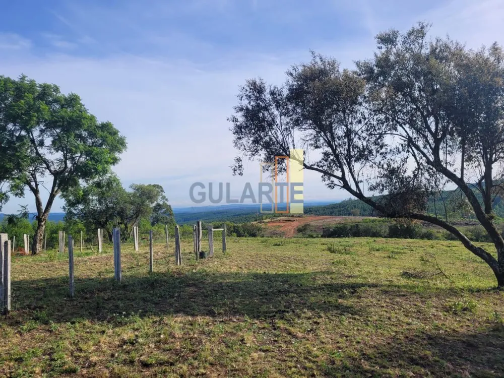 Fazenda, 135 hectares - Foto 10