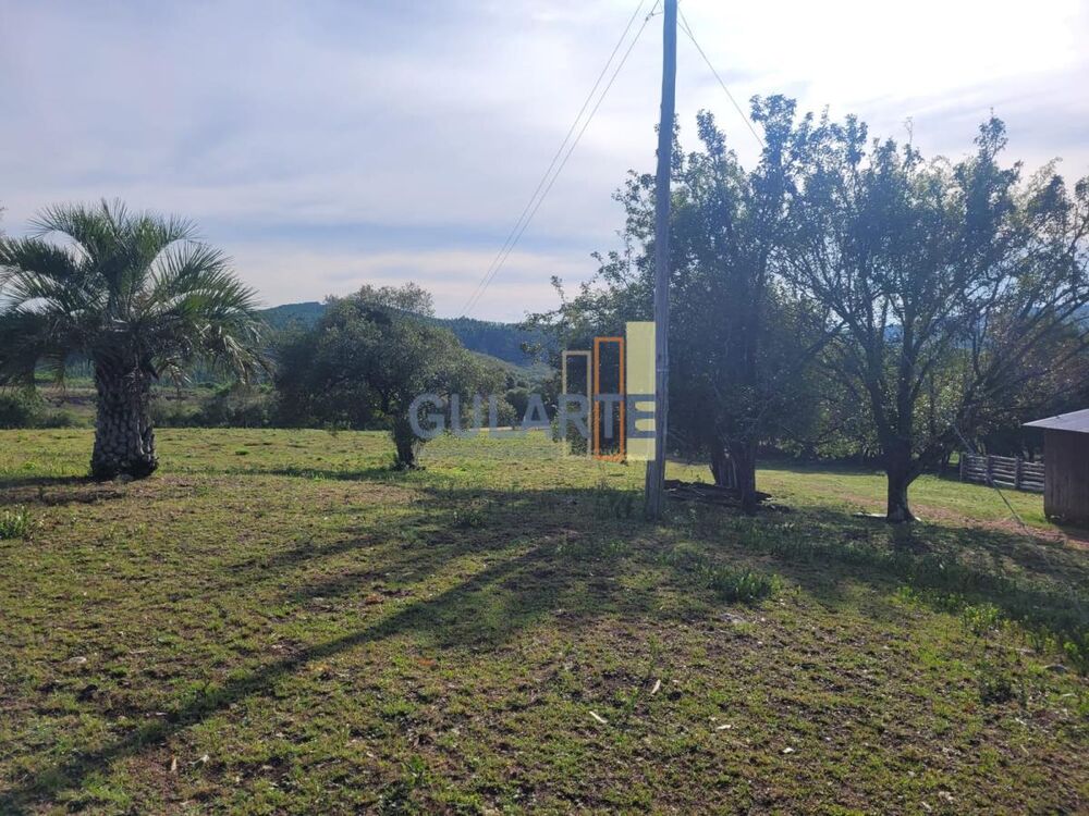 Fazenda, 135 hectares - Foto 6