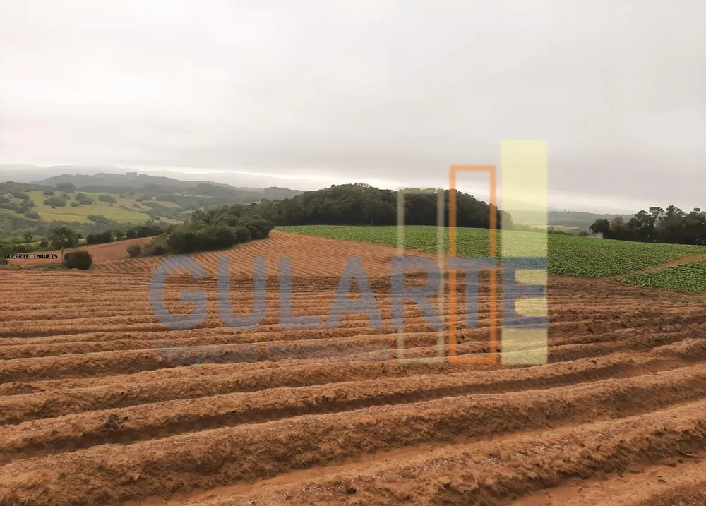 Sítio, 12 hectares - Foto 1