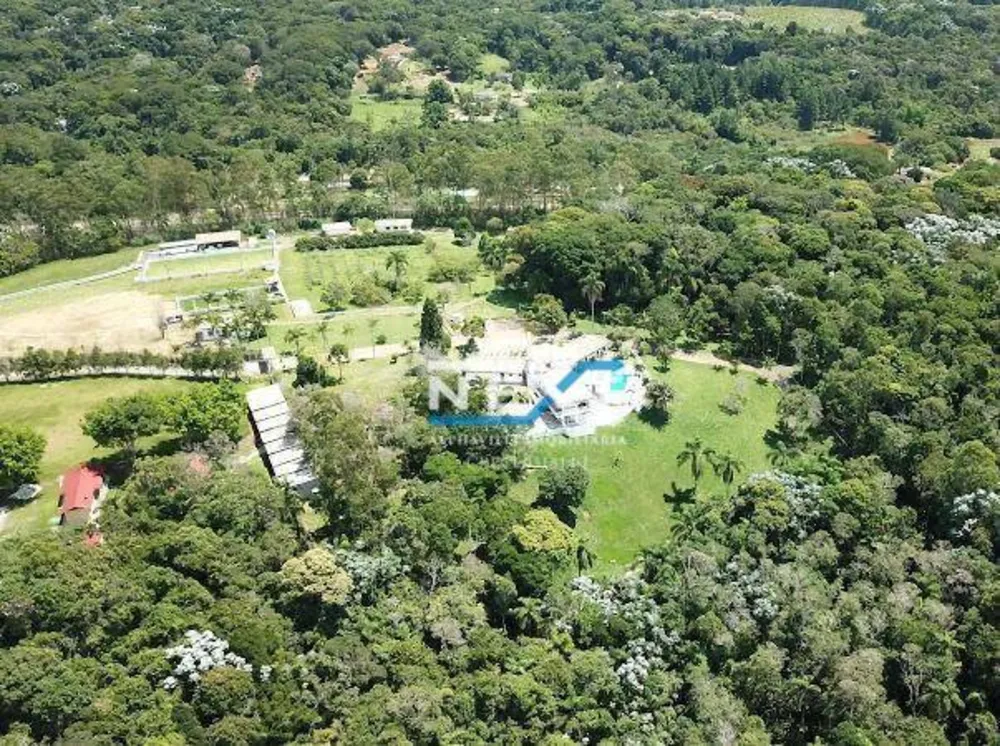Sítio, 11 hectares - Foto 10
