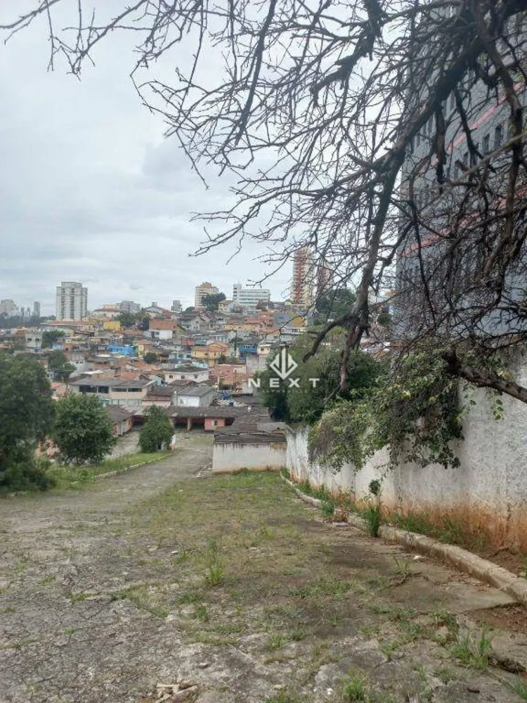 Terreno, 3210 m² - Foto 8