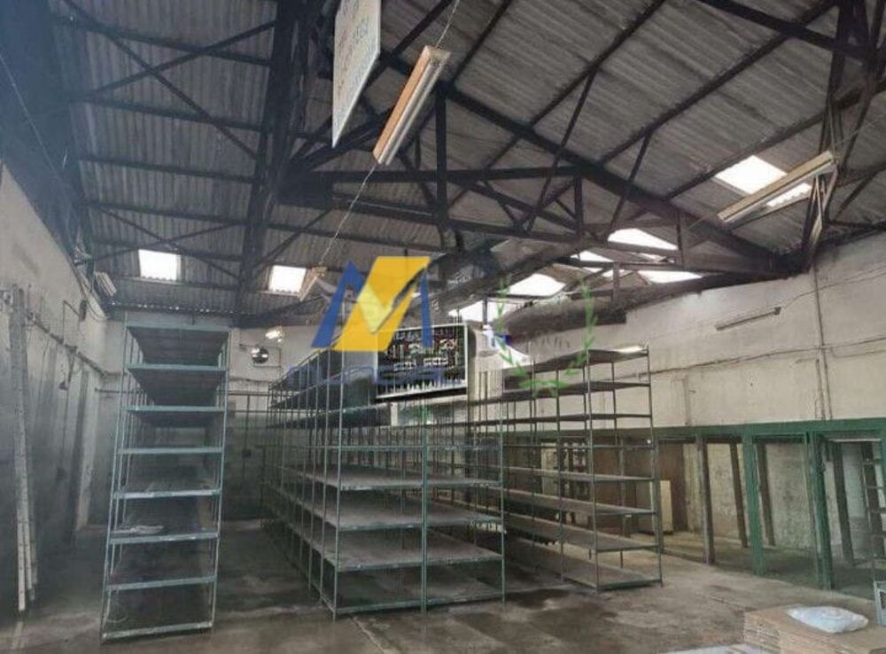 Depósito-Galpão, 1200 m² - Foto 8