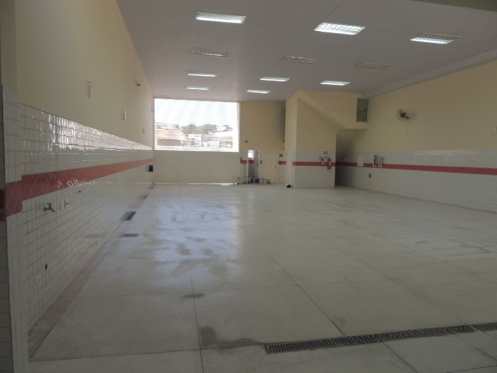Depósito-Galpão, 601 m² - Foto 5