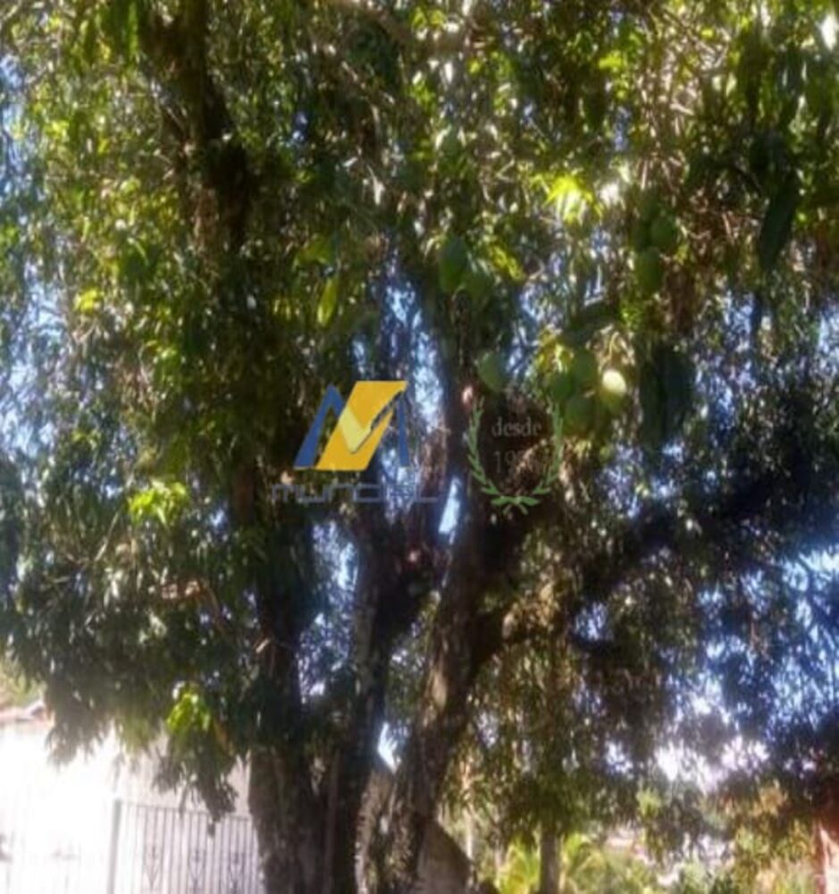 Casa, 3 quartos, 464 m² - Foto 7