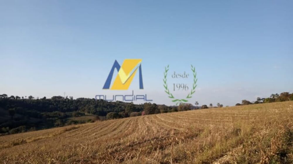 Terreno, 2 hectares - Foto 1
