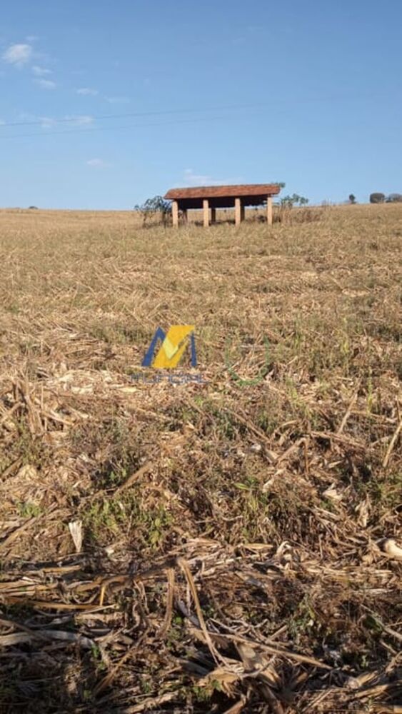 Terreno, 2 hectares - Foto 4
