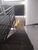 Loja-Salão, 70 m² - Foto 3