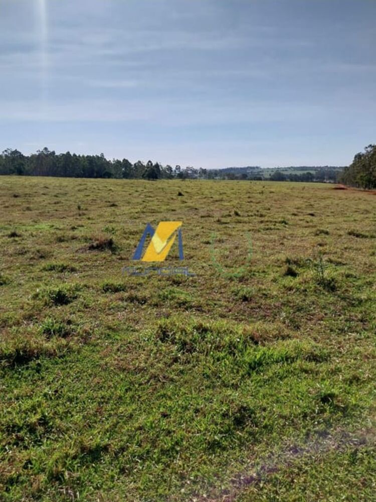 Terreno, 24 hectares - Foto 1