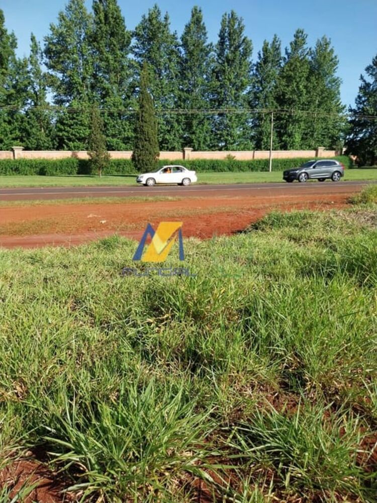 Terreno, 24 hectares - Foto 4