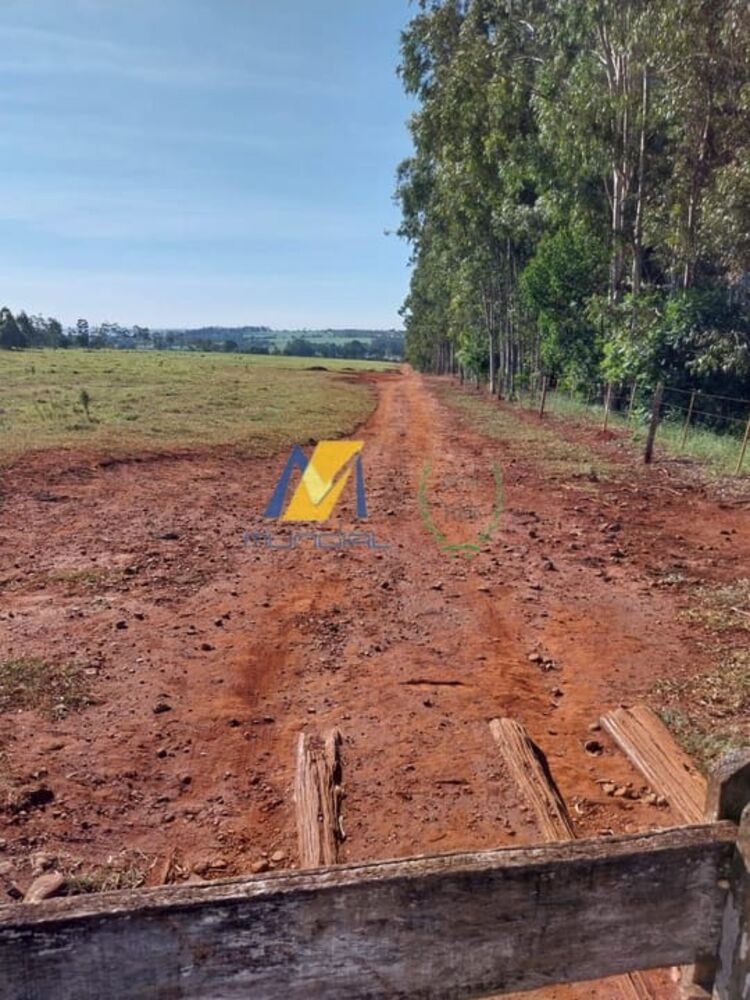 Terreno, 24 hectares - Foto 3