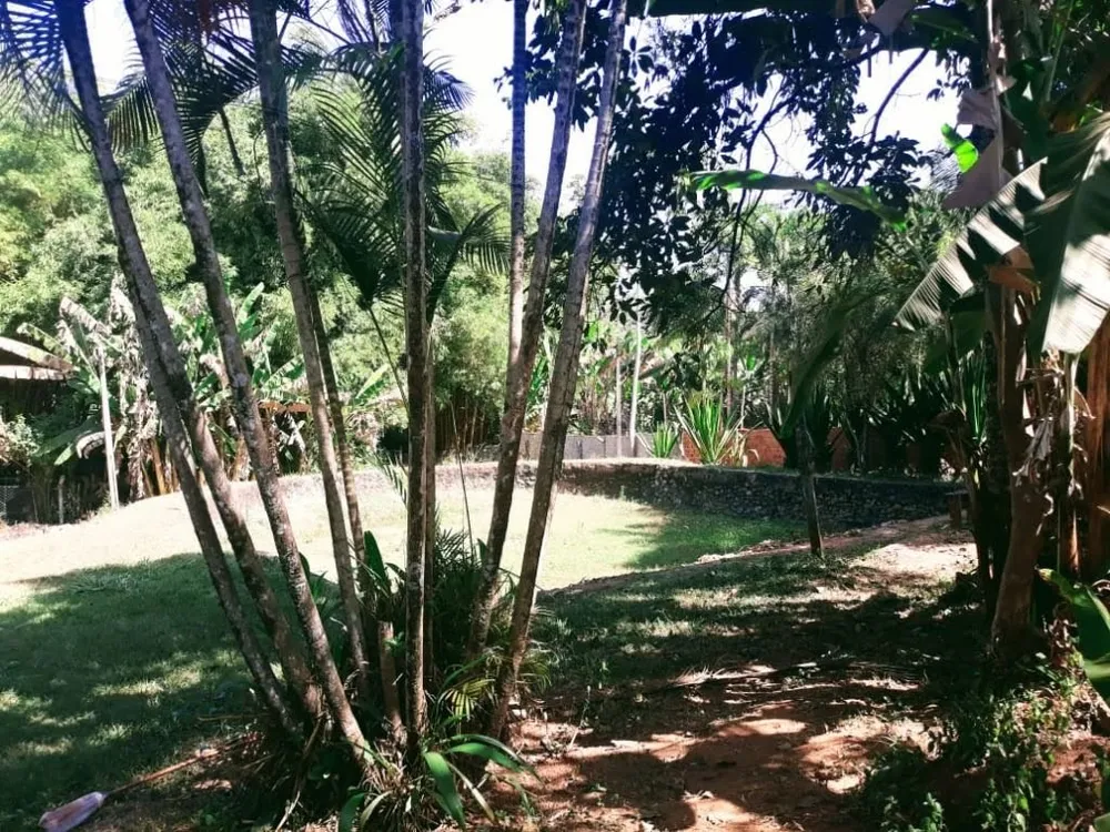 Chácara, 4 quartos, 6000 m² - Foto 4
