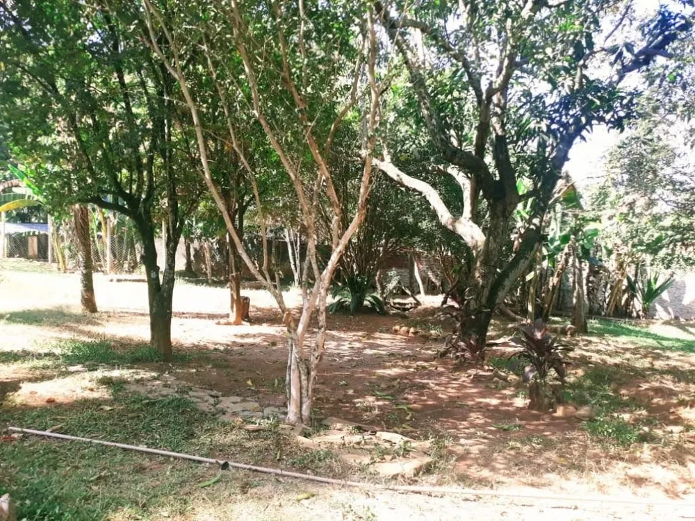 Chácara, 4 quartos, 6000 m² - Foto 1