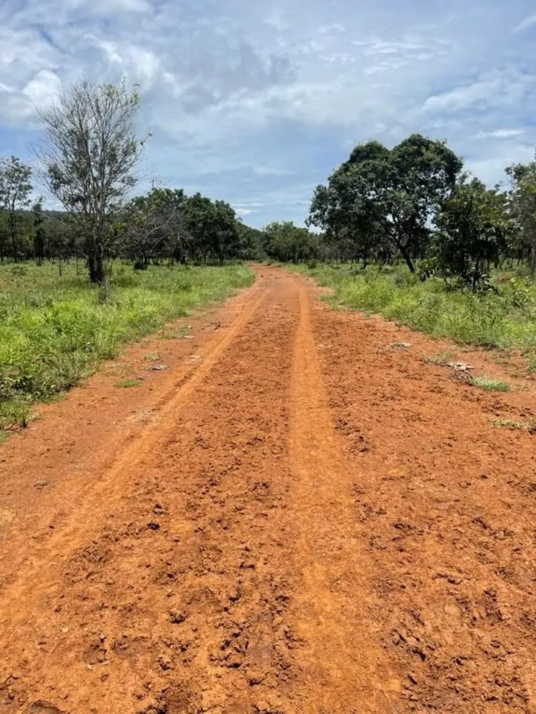 Fazenda, 28500 hectares - Foto 1