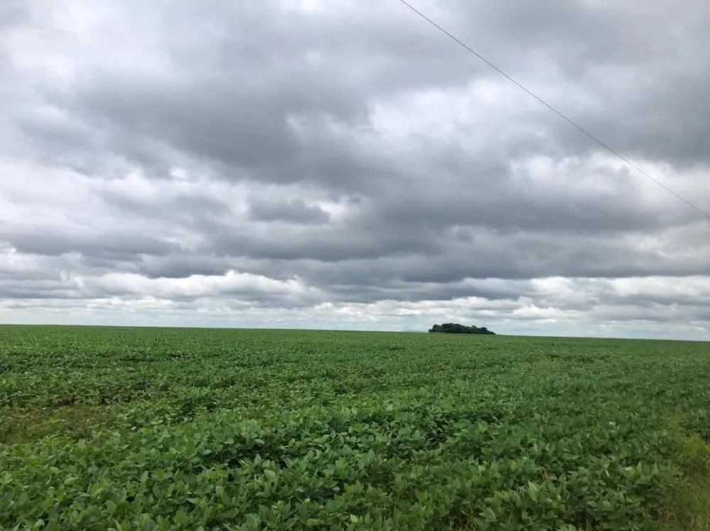 Fazenda, 35000 hectares - Foto 3