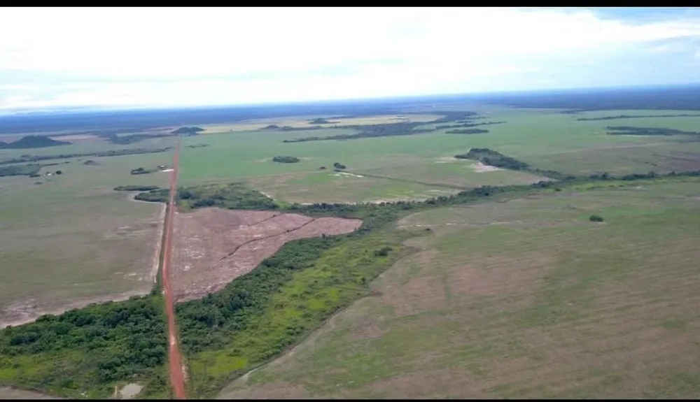 Fazenda, 35000 hectares - Foto 4