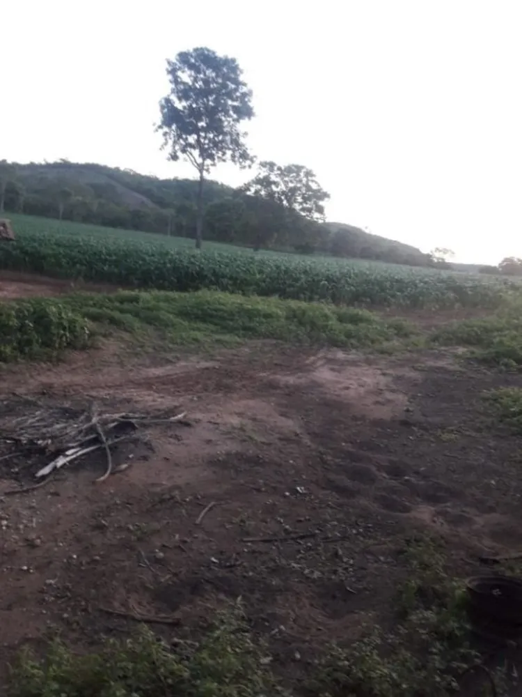 Fazenda, 114 hectares - Foto 1