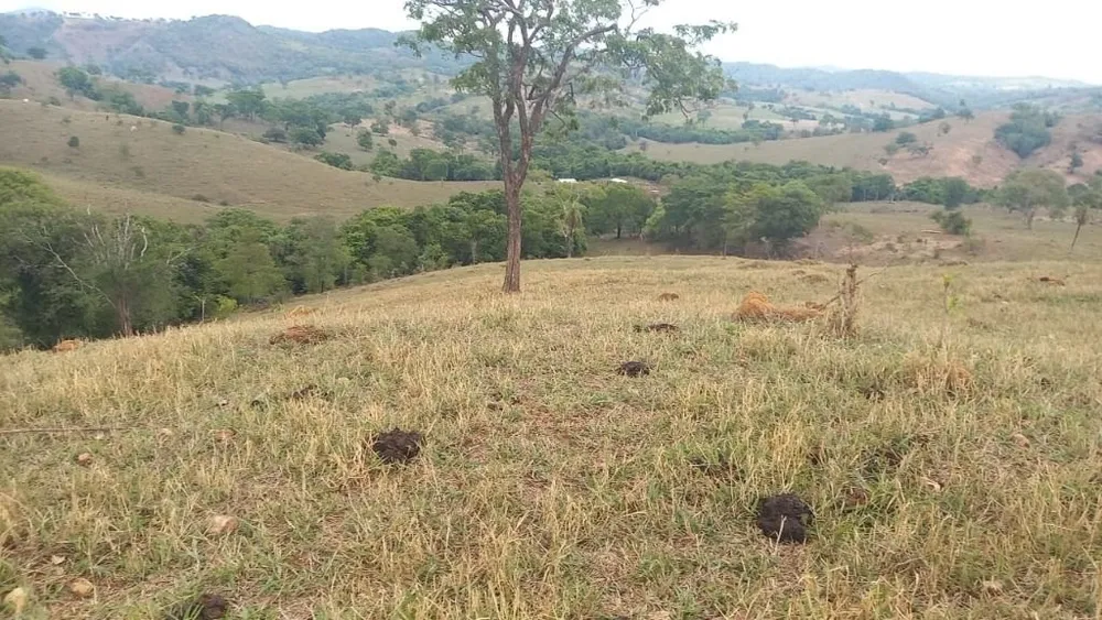 Fazenda, 169 hectares - Foto 1